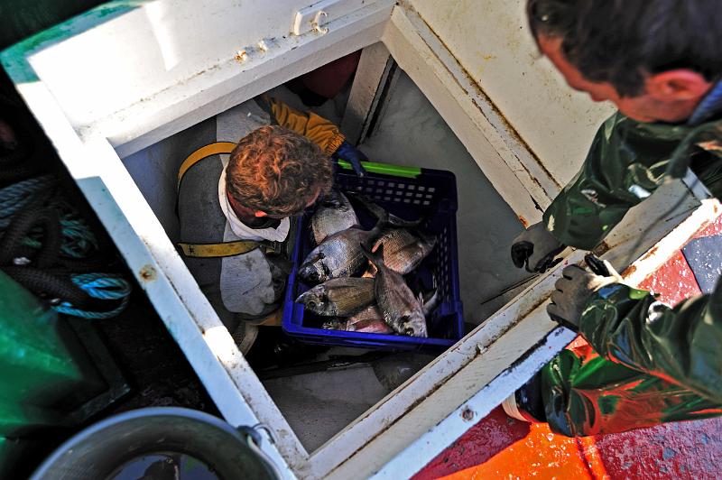 Fileyeur St Jean de Luz ac4.JPG